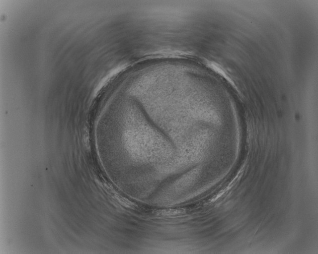 X0000073751307200608241337