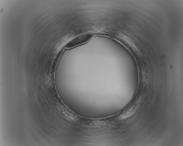 X0000073751308200608241337