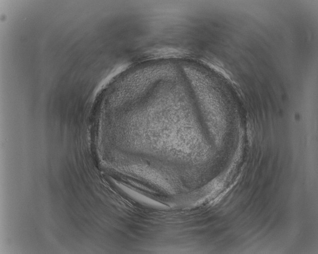 X0000073751309200608241337