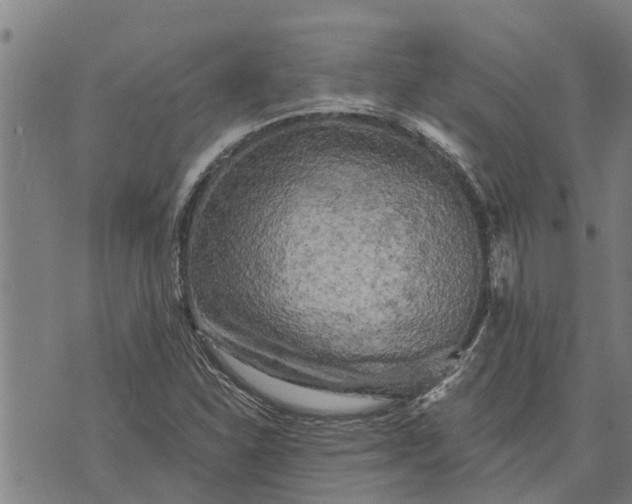 X0000073751310200608241337