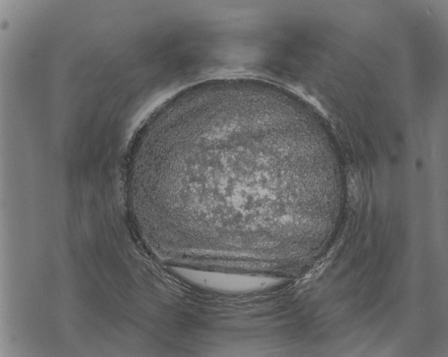 X0000073751311200608241337