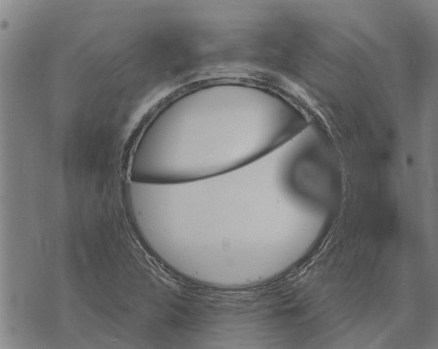 X0000073751312200608241337