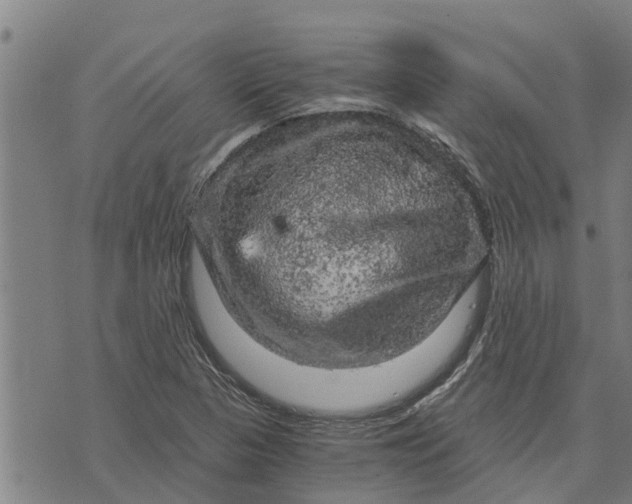 X0000073751313200608241337