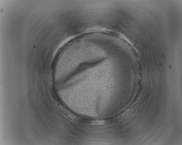 X0000073751315200608241337