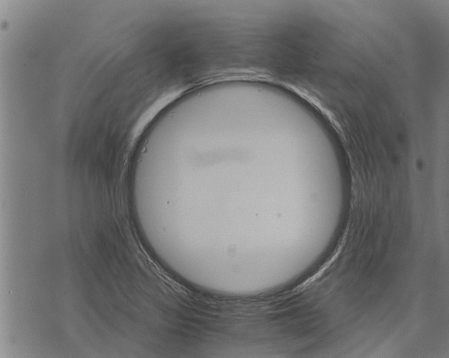 X0000073751317200608241337