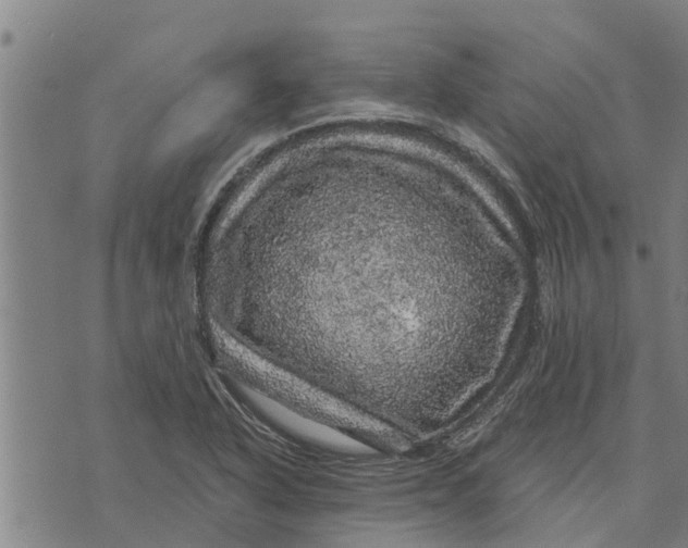 X0000073751318200608241337