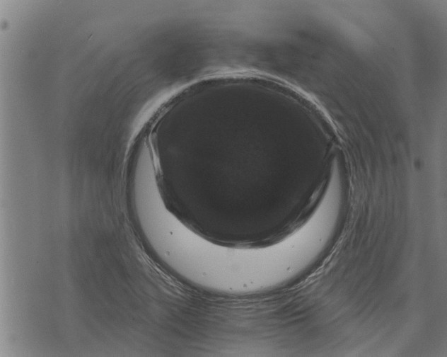 X0000073751319200608241337