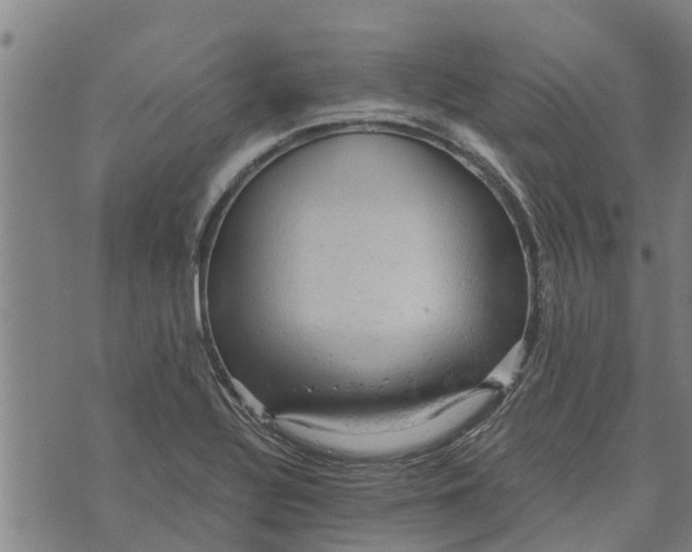 X0000073751320200608241337