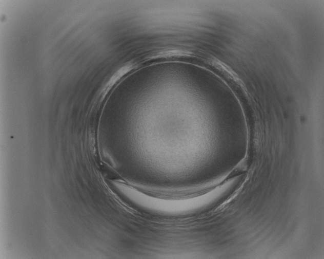 X0000073751321200608241337