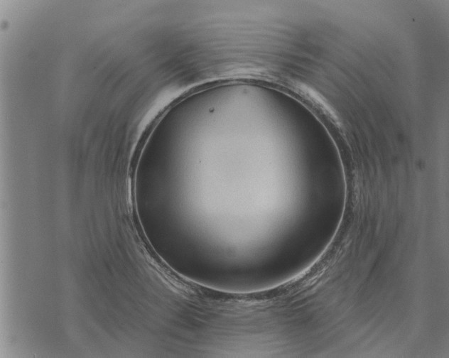 X0000073751324200608241337