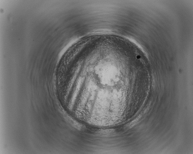 X0000073751325200608241337