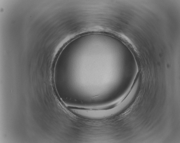 X0000073751326200608241337