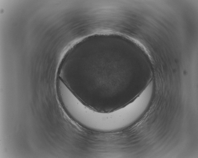 X0000073751327200608241337