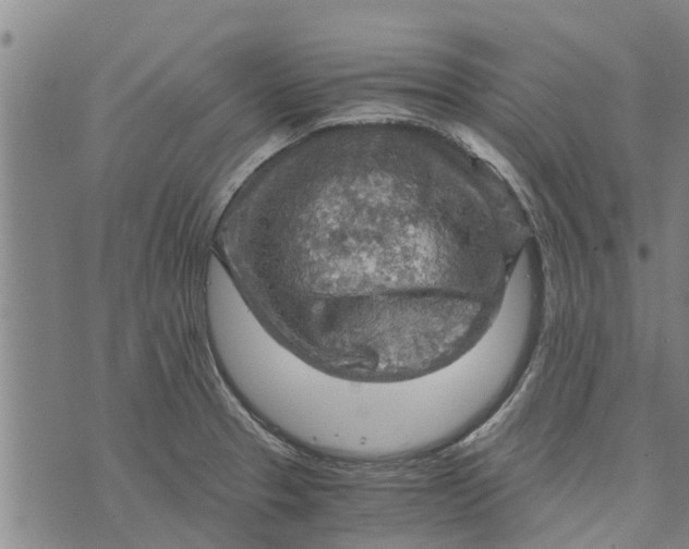 X0000073751329200608241337