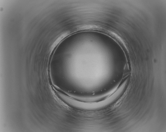 X0000073751330200608241337