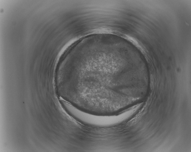 X0000073751331200608241337