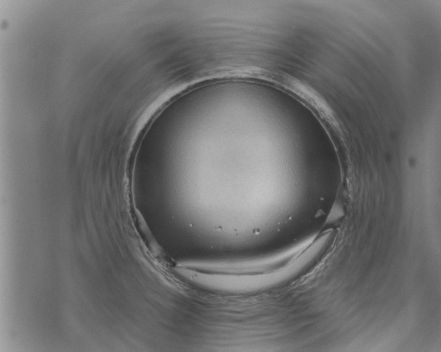 X0000073751332200608241337