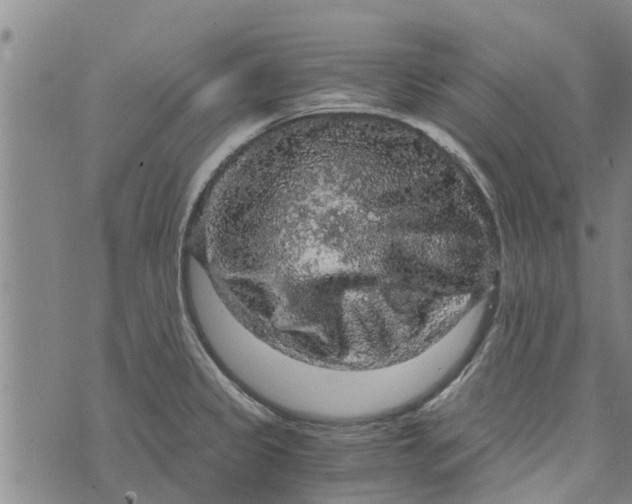 X0000073751333200608241337