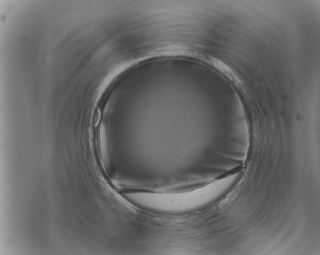 X0000073751334200608241337