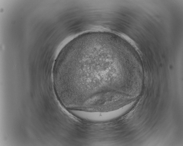 X0000073751335200608241337