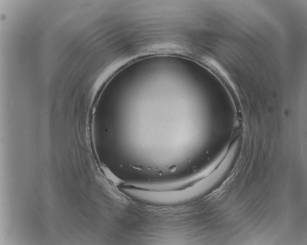 X0000073751336200608241337