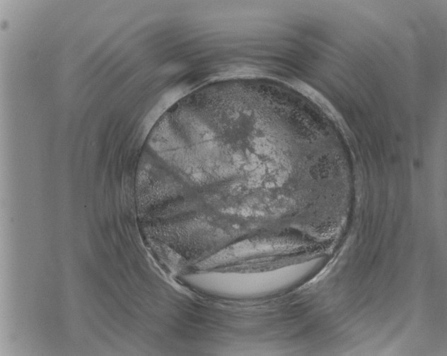 X0000073751337200608241337