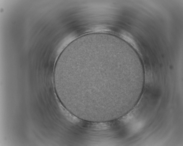 X0000073751338200608241337