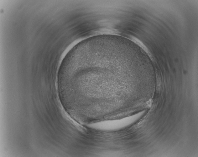 X0000073751339200608241337