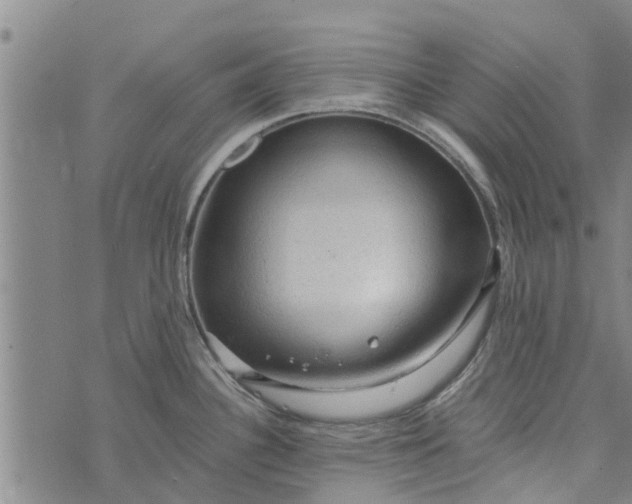 X0000073751340200608241337