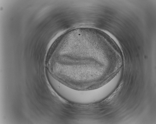 X0000073751341200608241337