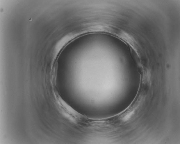 X0000073751342200608241337