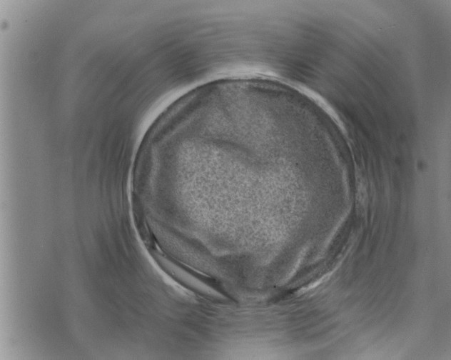 X0000073751343200608241337