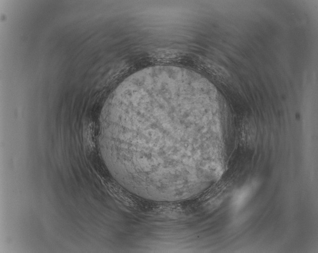 X0000073751346200608241337