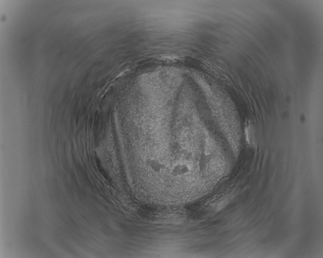 X0000073751347200608241337