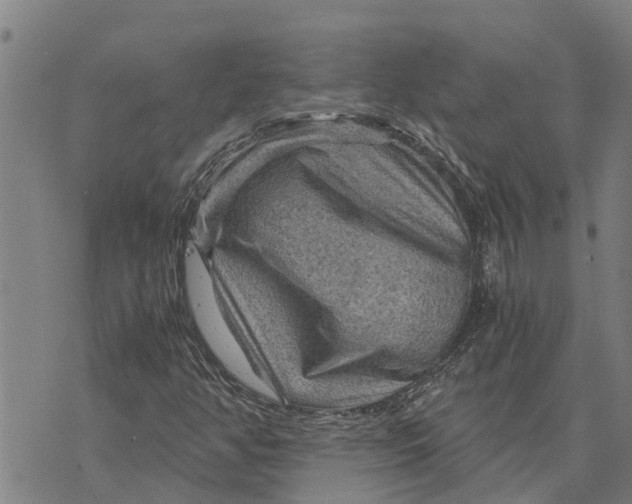 X0000073751350200608241337