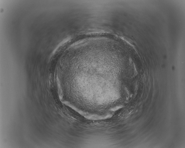 X0000073751351200608241337