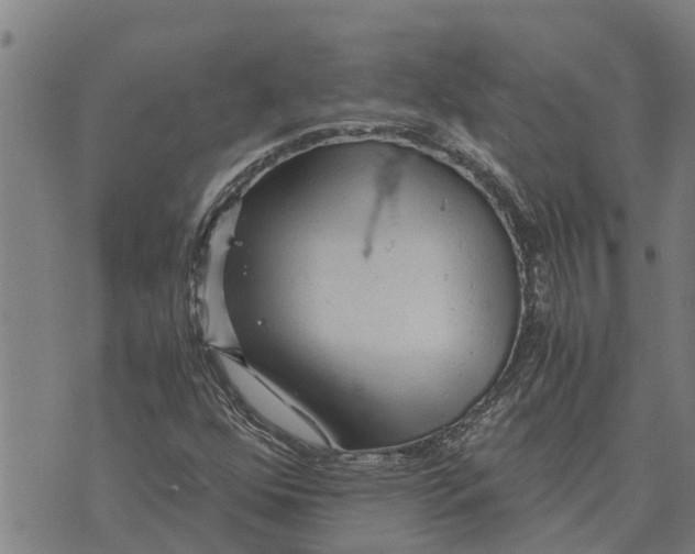 X0000073751352200608241337