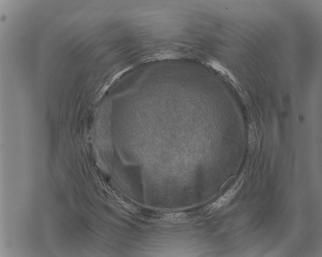 X0000073751353200608241337