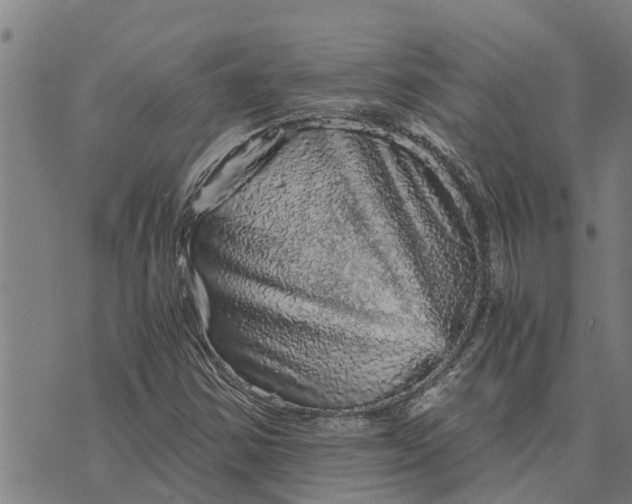 X0000073751354200608241337