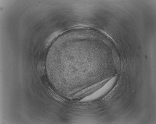 X0000073751355200608241337