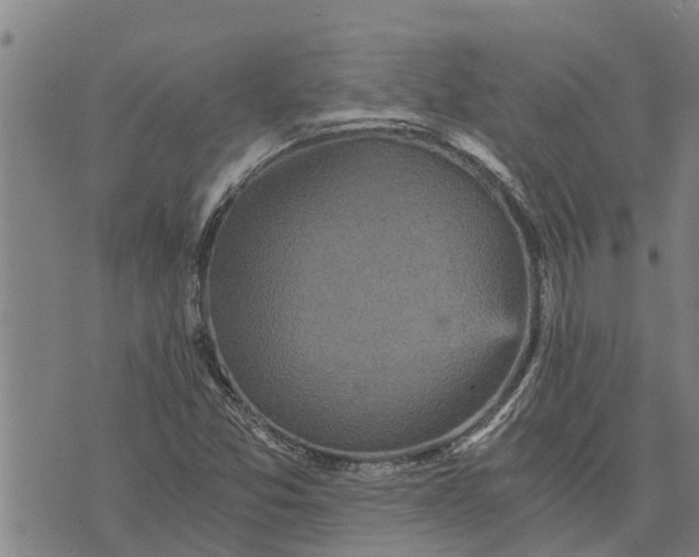 X0000073751357200608241337