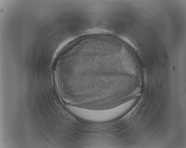 X0000073751358200608241336