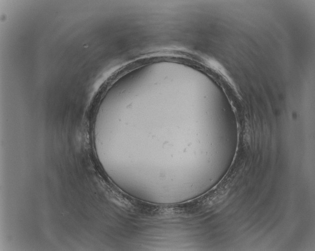 X0000073751360200608241336