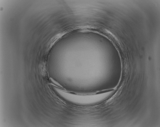 X0000073751361200608241336