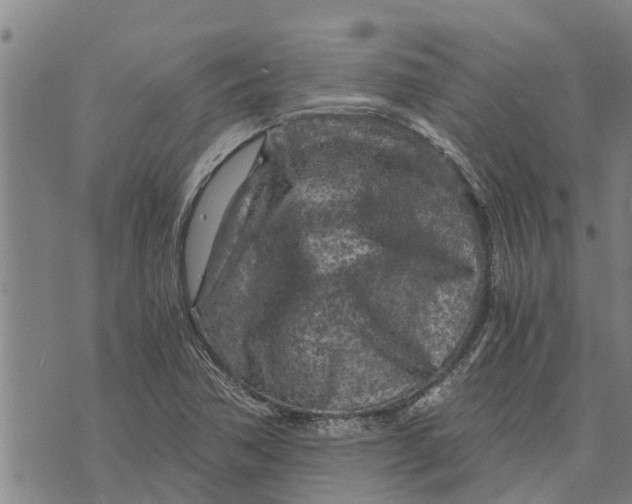 X0000073751362200608241336