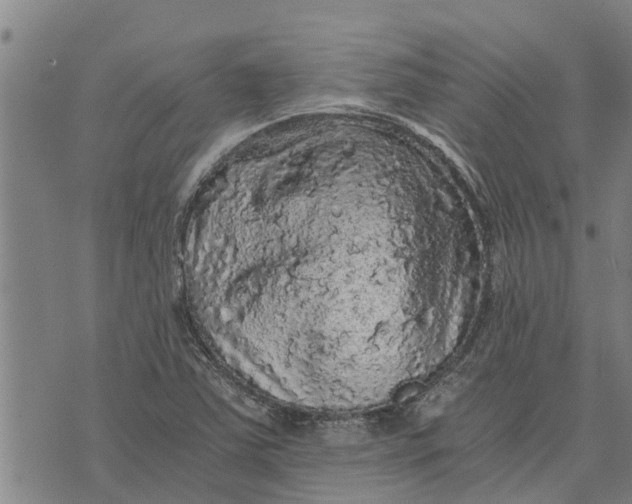 X0000073751363200608241336