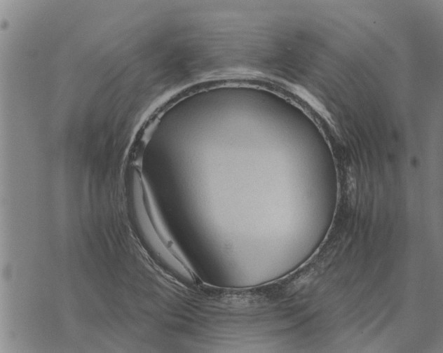 X0000073751364200608241336