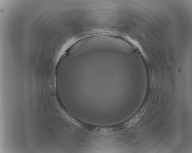 X0000073751365200608241336