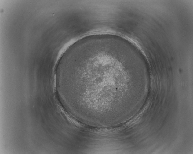 X0000073751366200608241336