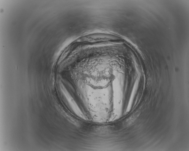 X0000073751367200608241336